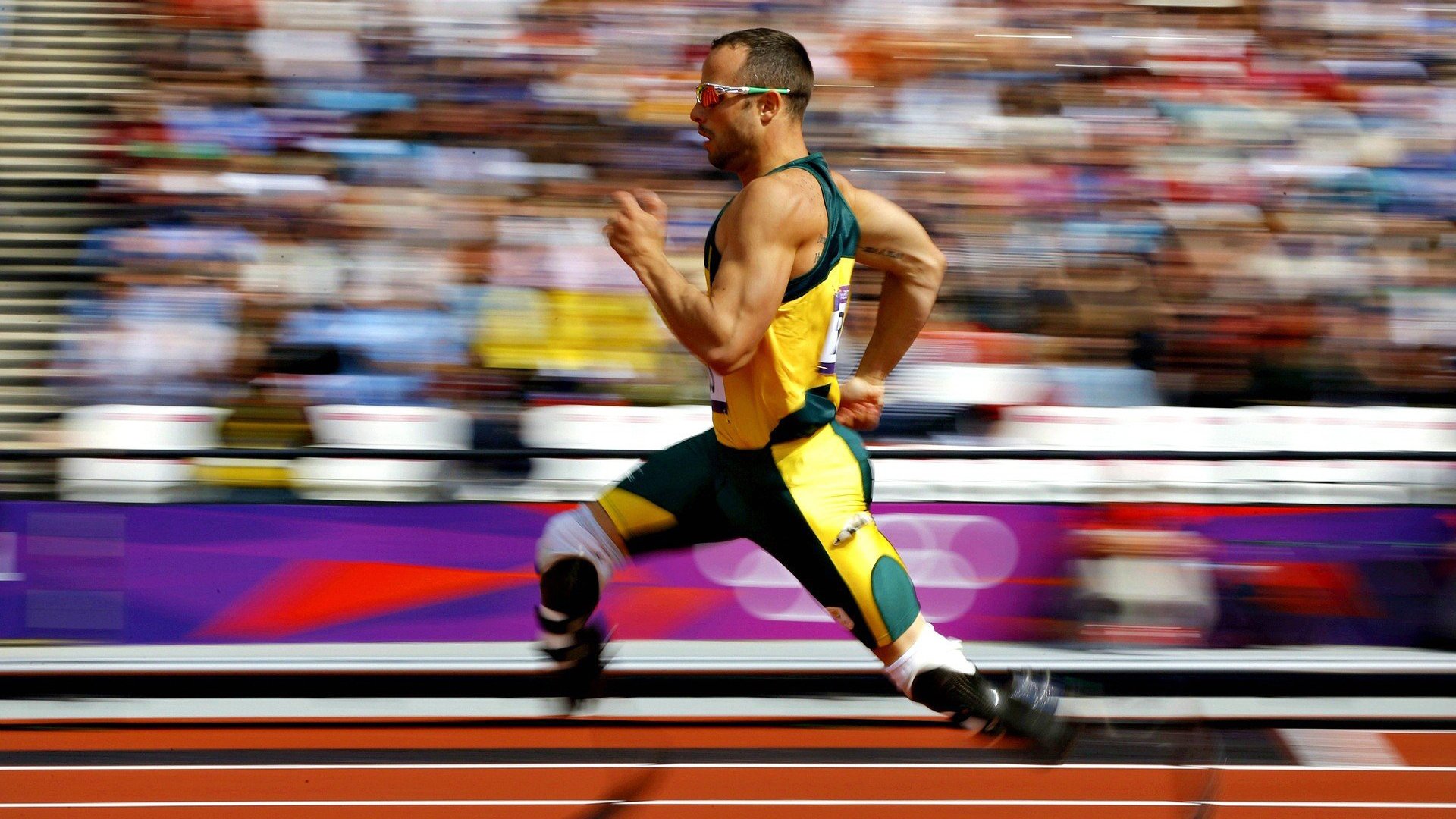 爱游戏综合娱乐-绿色足球场馆建设取得重大突破，节能减排成主流，绿色足球场背景图片 微信