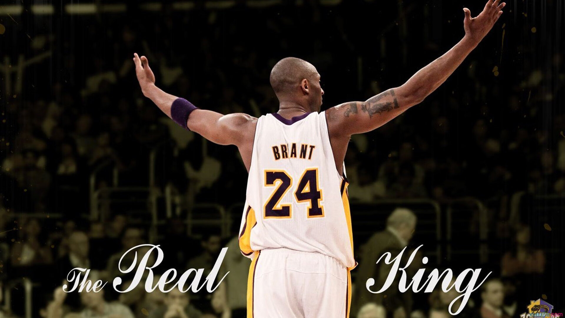 爱游戏体育（AYX）官方APP下载-经典车型与赛道的黄金年代，经典赛车图片